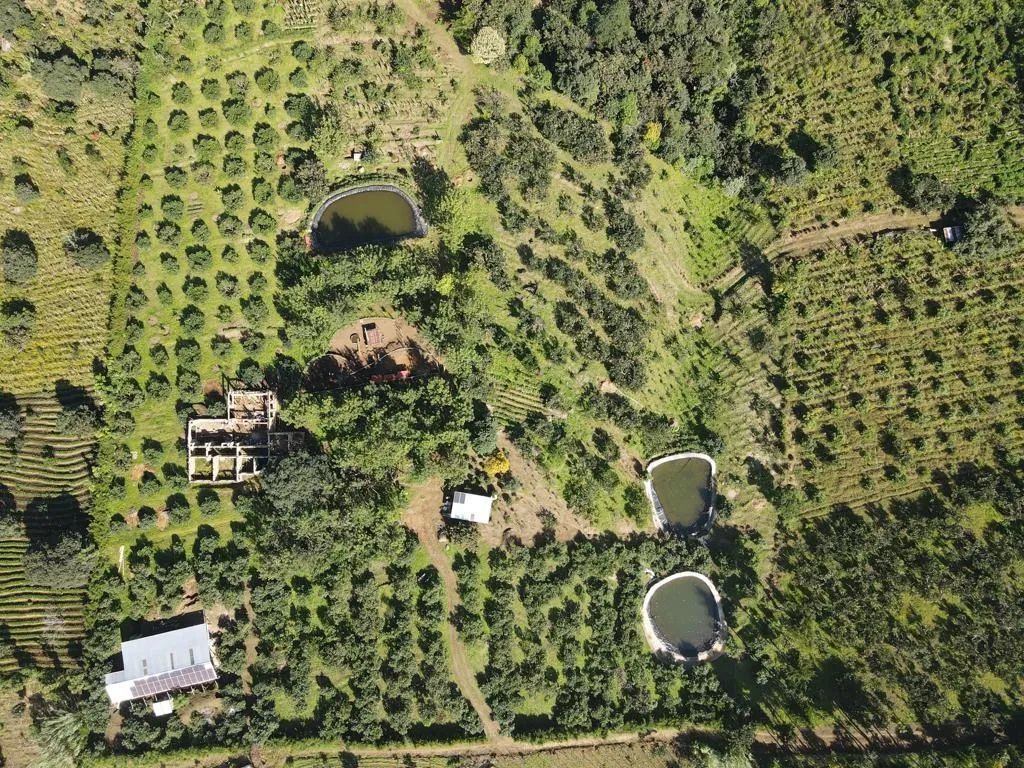 Aerial view of the Fife property: orchard rows, three lined water-storage ponds, outbuildings and a solar array
