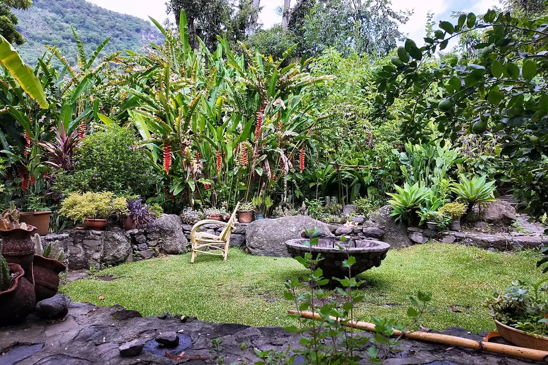 A natural swimming pond beside the treehouse at Granja Tz'ikin