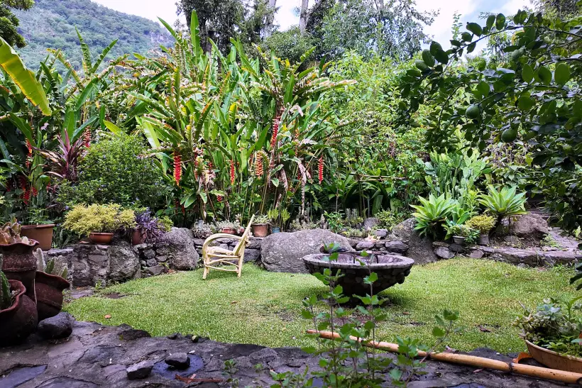A planted pond in the garden at Granja Tz'ikin, ringed with flowering beds and grass